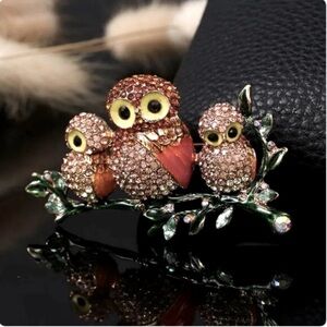 🍏50% OFF/3+...Mother Owl and Two Owlets Brooch